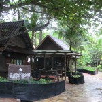 main_blog.img1.95b3fddf2e366395/pataya01.jpg