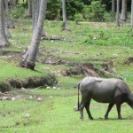 main_blog.img4.937defd7a1c1c3d5/tour04.jpg